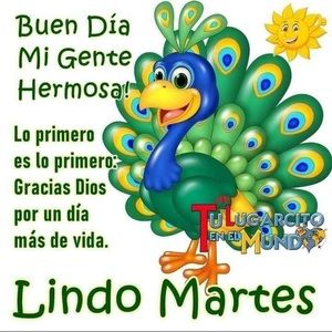 Meet your Posher, Yaneth